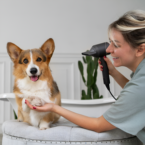 The Ultimate Guide to Pet Grooming at Home