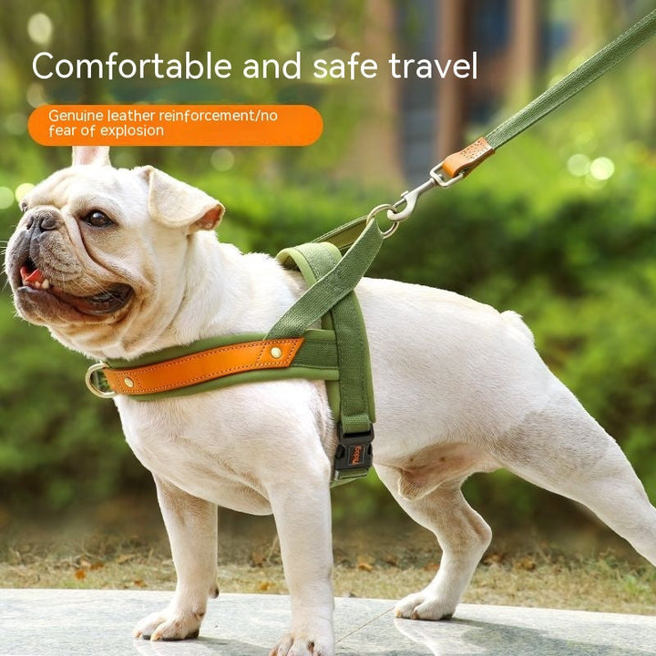 Breast Collar Hand Holding Rope: The Ultimate Pet Accessory