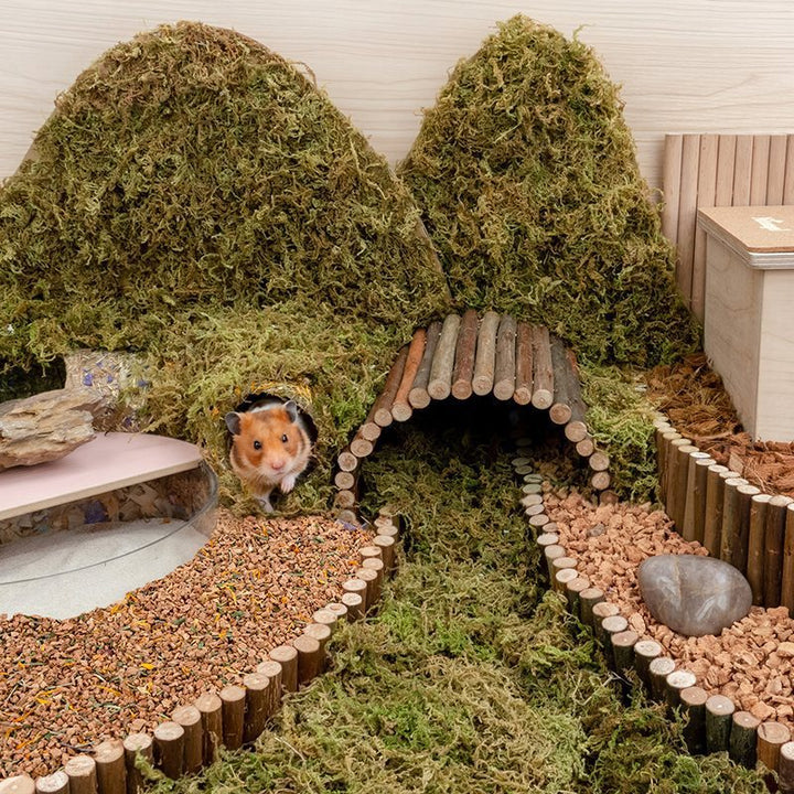 Oak Cork Hamster Digging Dust-free