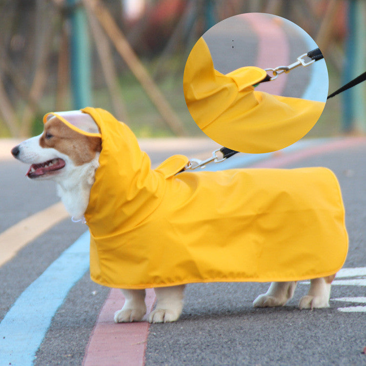 Dog Raincoat Transparent Brim