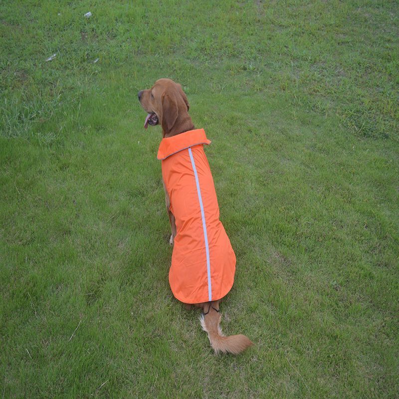 Dog Clothes Outdoor Shell Jacket