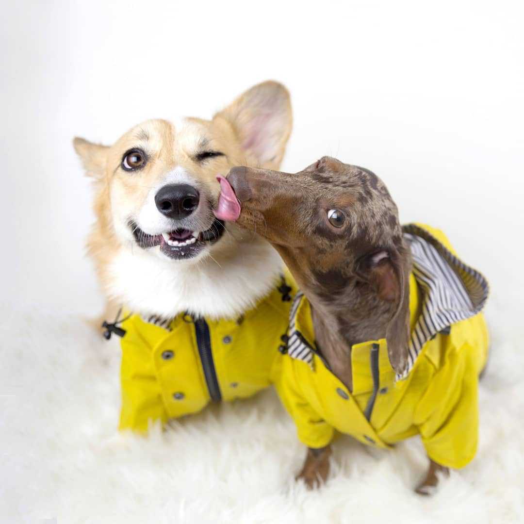 Tide Brand Windproof And Rainproof