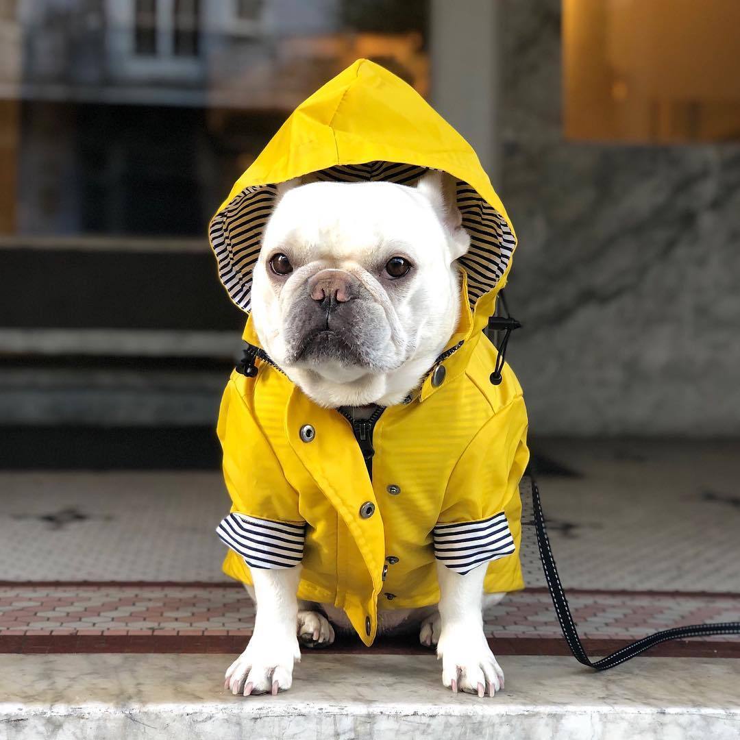 Tide Brand Windproof And Rainproof