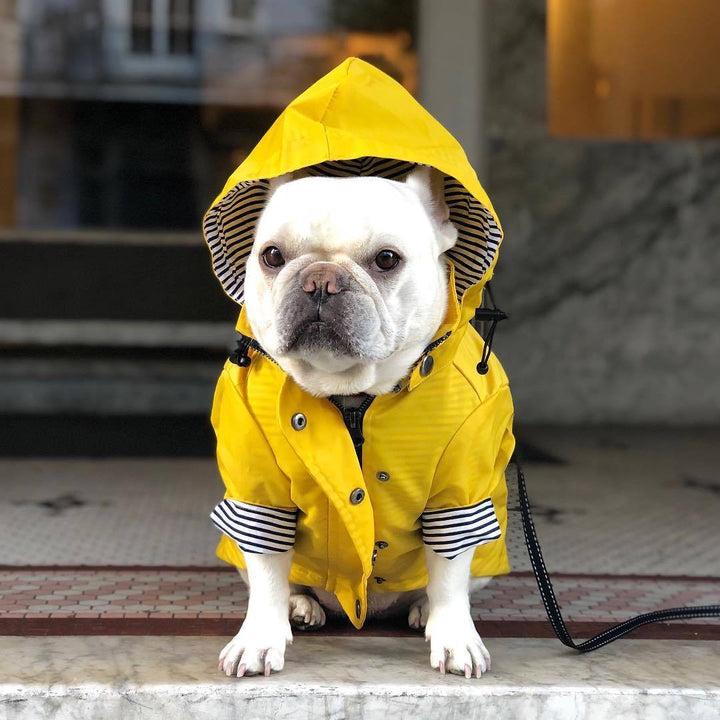 Tide Brand Windproof And Rainproof