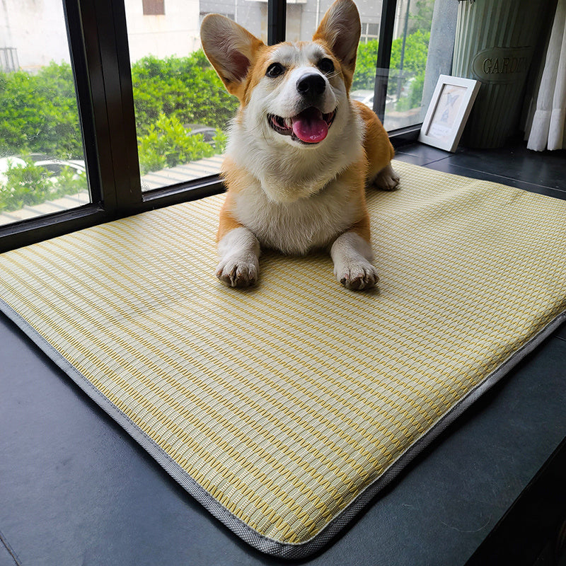 Dog Mat Sleeping With Pet Mat Summer Mat