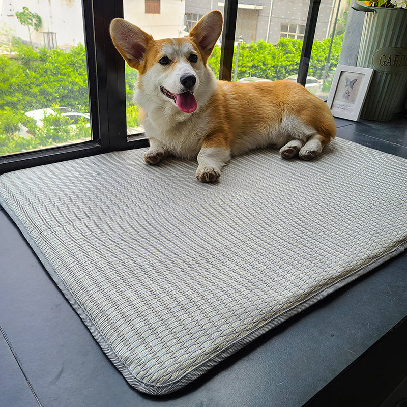 Dog Mat Sleeping With Pet Mat Summer Mat