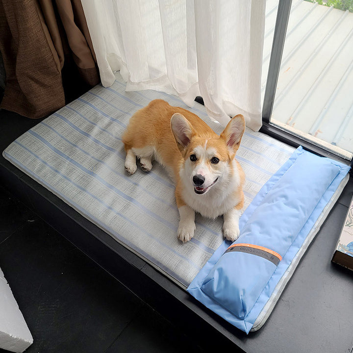 Dog Mat Sleeping With Pet Mat Summer Mat
