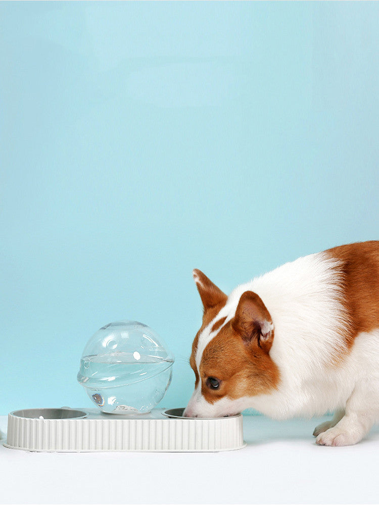 Plastic Pet Feeding Drinkers Cat Dog