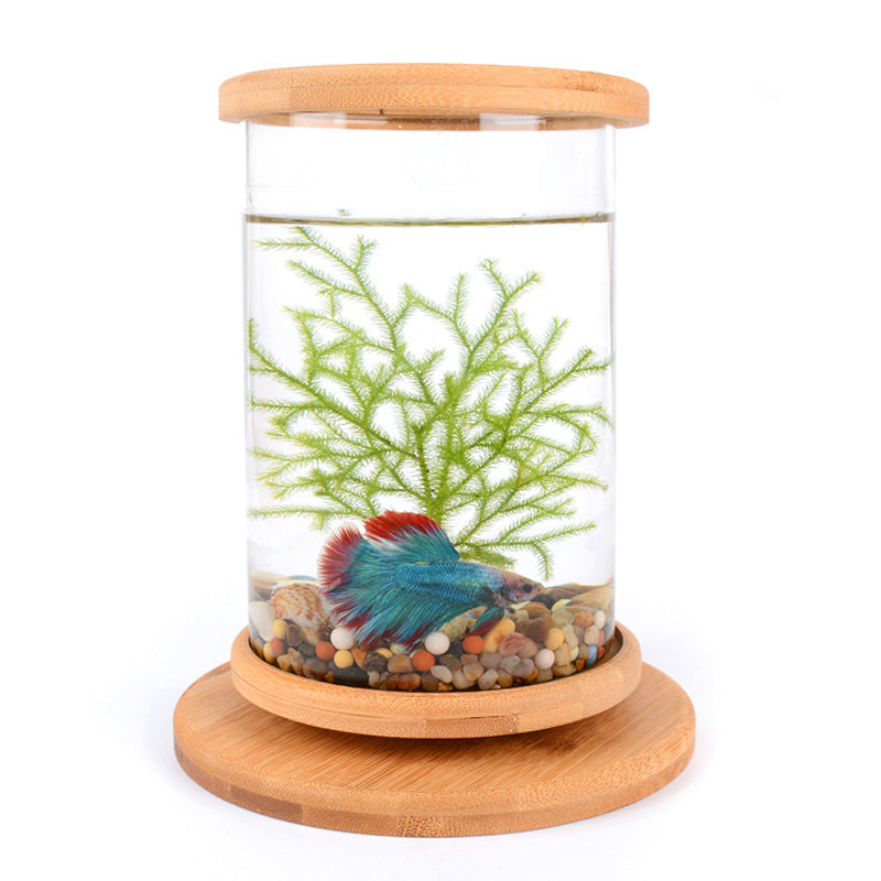 Mini Fish Tank Decoration Fish Bowl