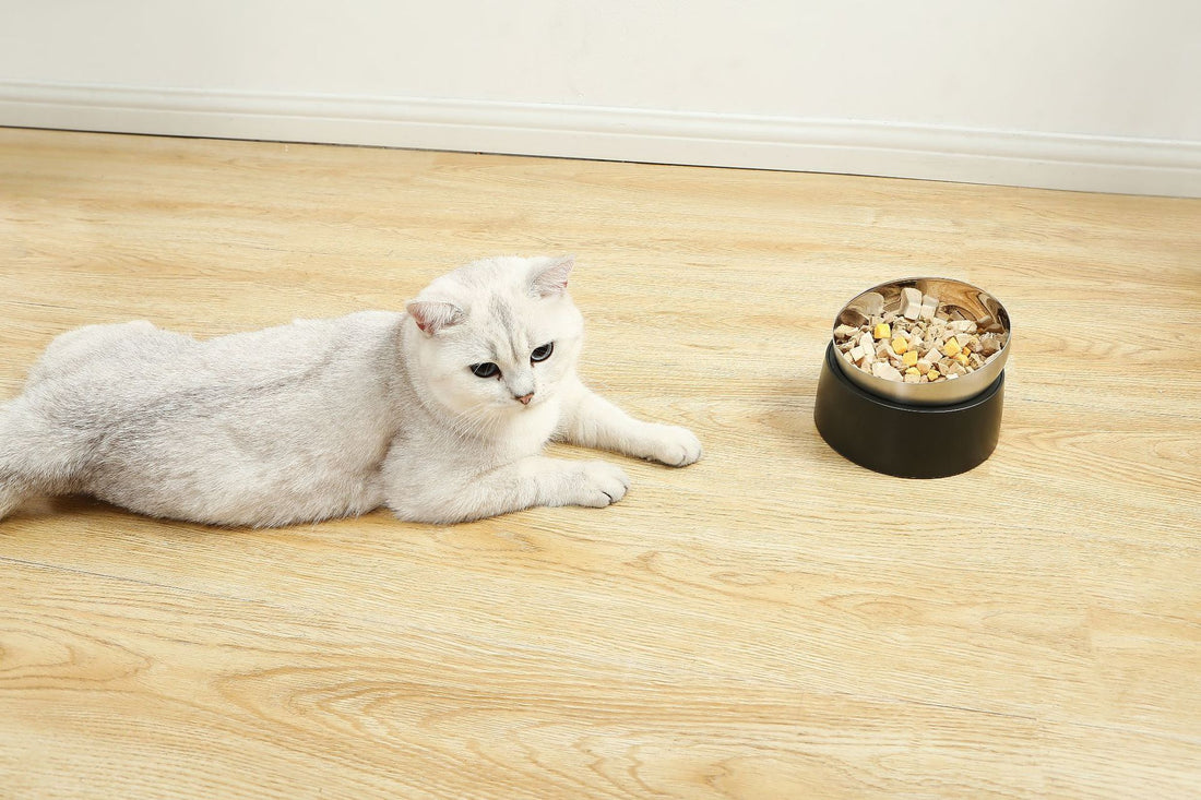 Cat Oblique Mouth Anti-tumble Bowl
