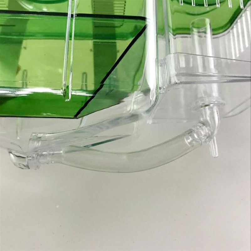 Hatching box guppy sick fish isolation