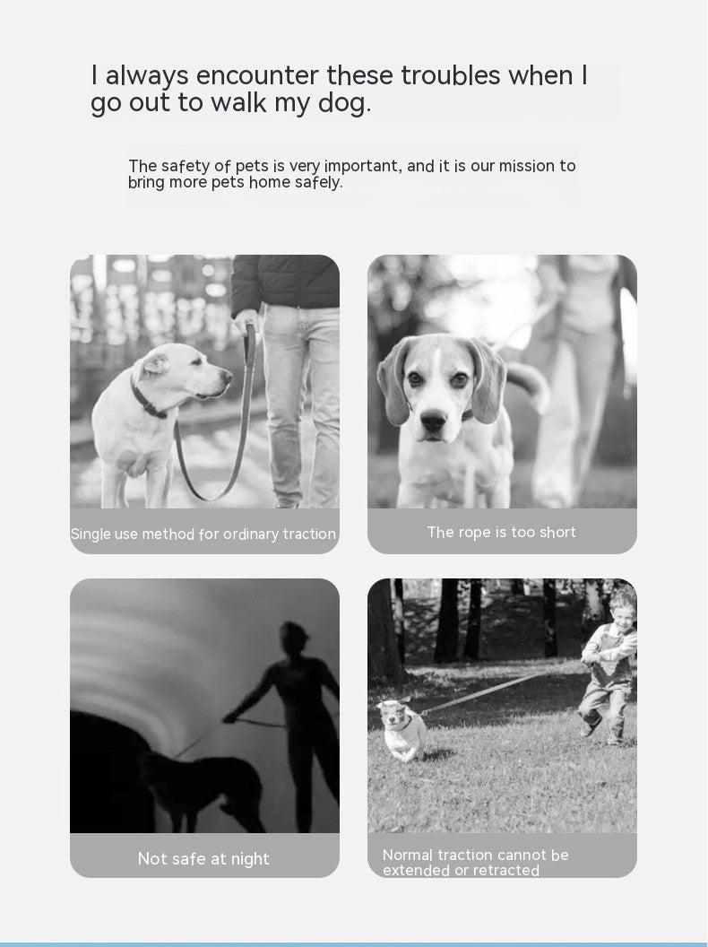 Ring With Light Dog Leash Pet