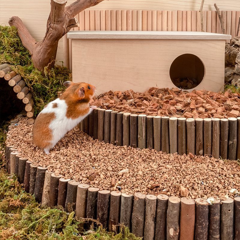 Oak Cork Hamster Digging Dust-free