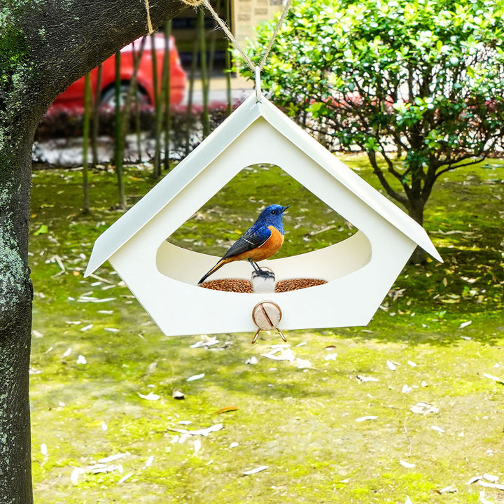 European-style Simple Iron Bird Food