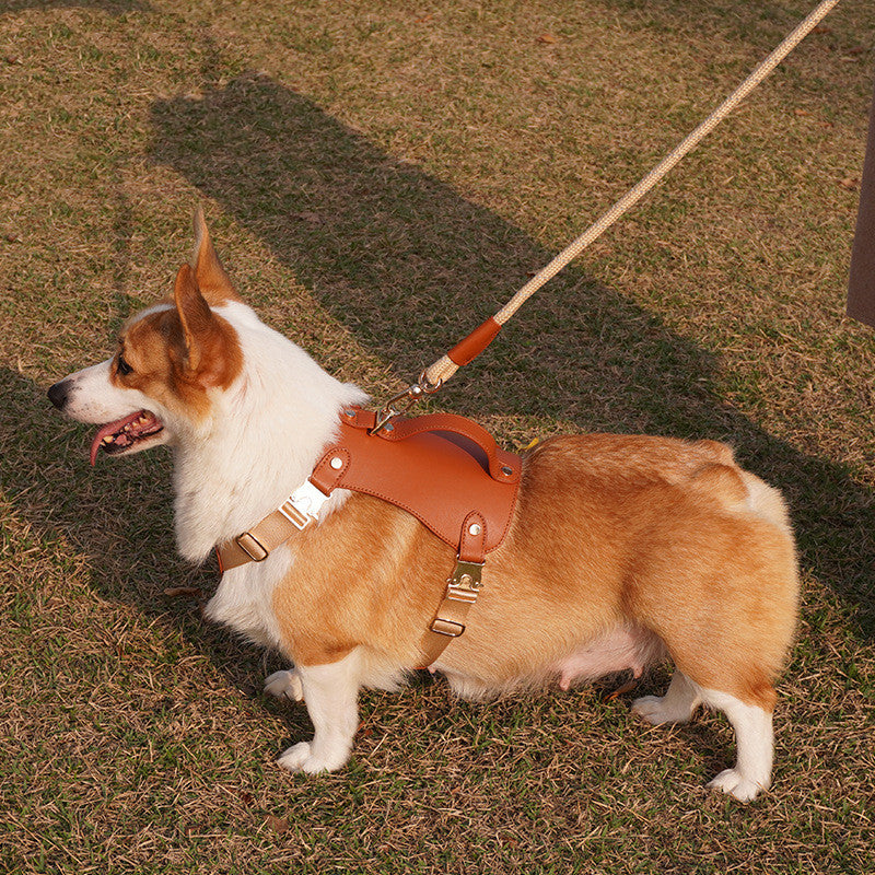 Outdoor Microfiber Vest Dog Leash