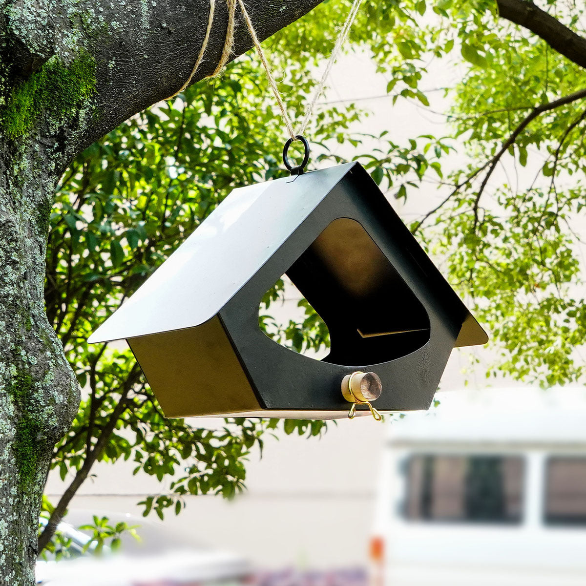 European-style Simple Iron Bird Food