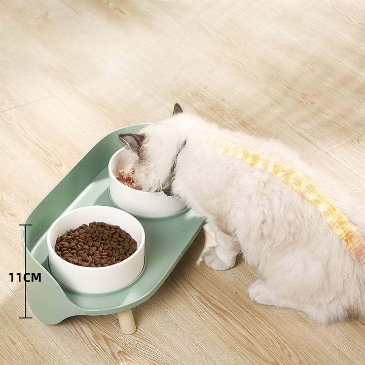 Pet Bowl Tilted Cat Double Bowls Protect