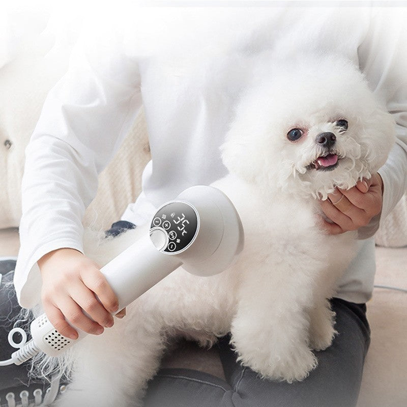 Smart Pet Hair Dryer Dog Golden
