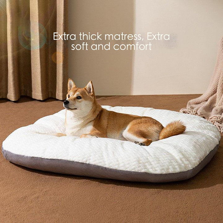 Oval Shape Cushion For Large Dogs
