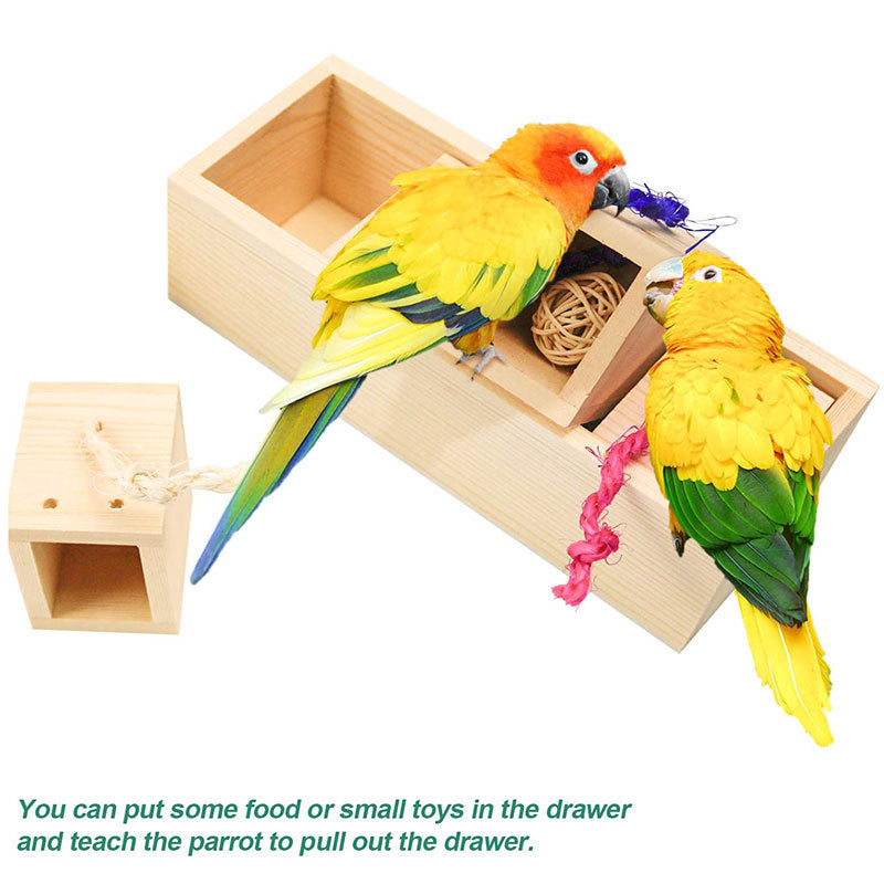 Parrot Toy Bird Supplies Puzzle Training