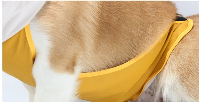 Dog Raincoat Transparent Brim