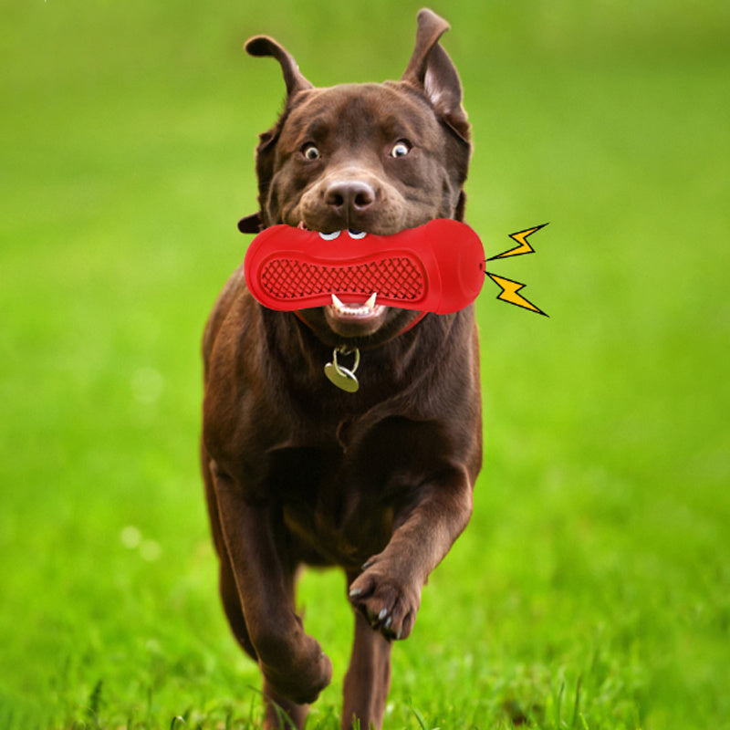 Vocal Rugby Pet Toys Natural Rubber