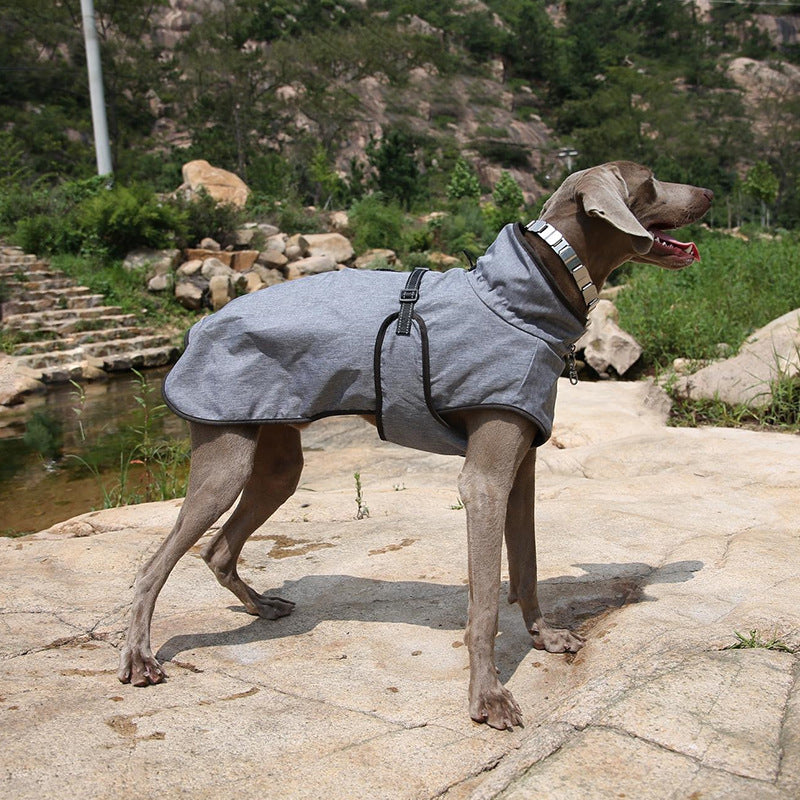 Pet Shell Jacket Dog Winter