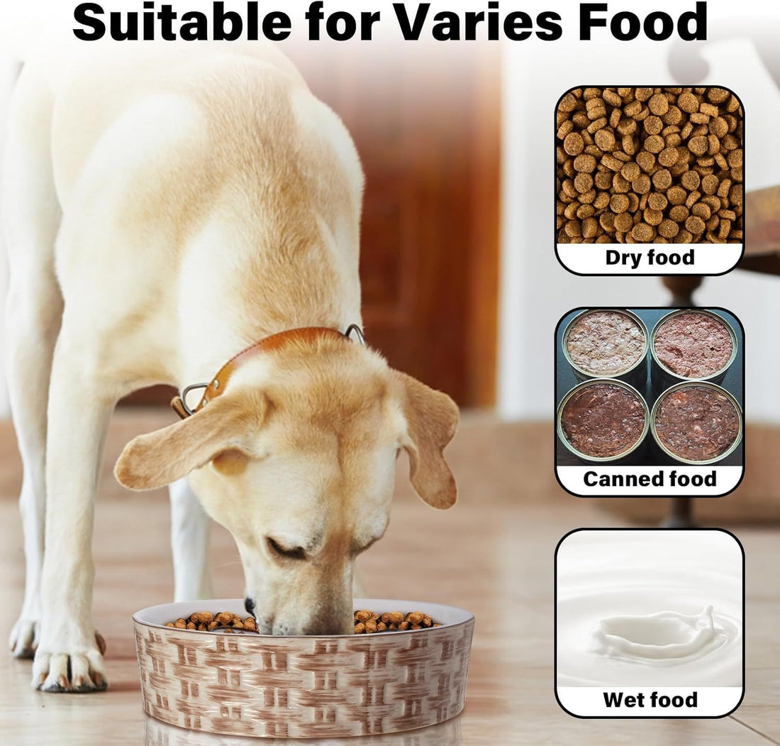 Ceramic Slow Feeder Dog Bowl Slow Feeder