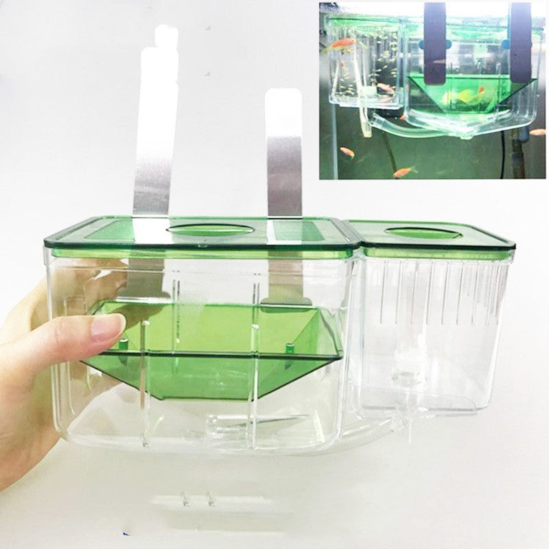 Hatching box guppy sick fish isolation
