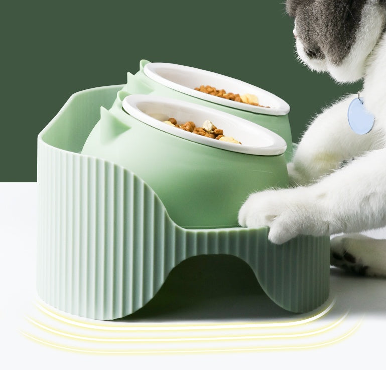 Cervical Spine Food Bowl Food Bowl