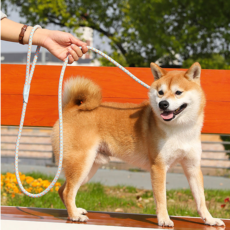 Dog Rope Pet Pulling Rope Puppy Strap