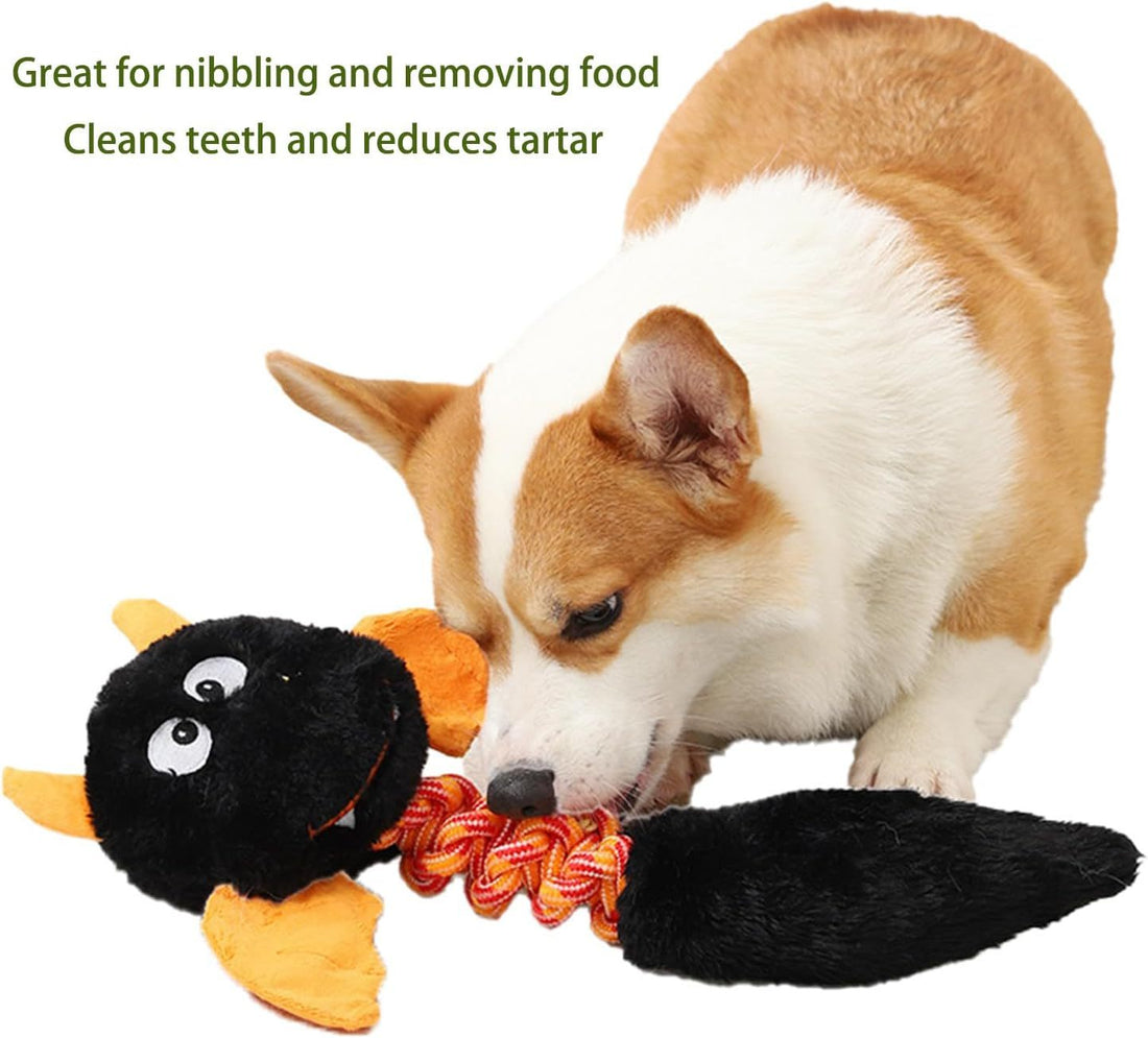 Plush Dog Toys Squeaky Dog Toys