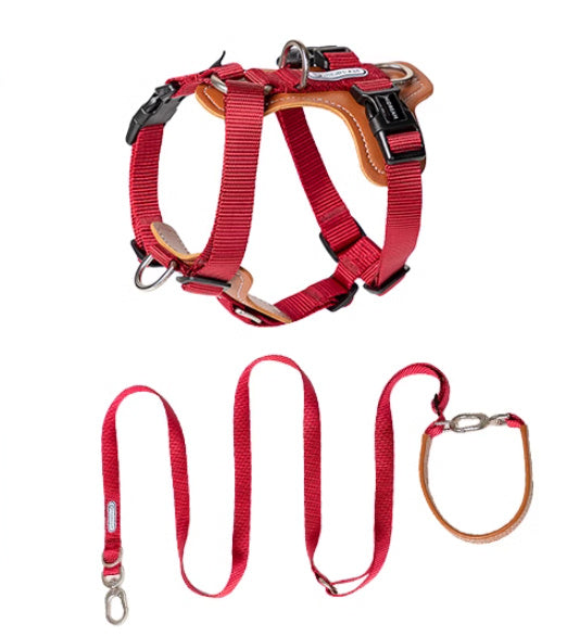 Dog Rope Leash Multifunctional Explosion-proof