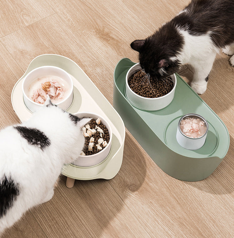 Pet Bowl Tilted Cat Double Bowls Protect