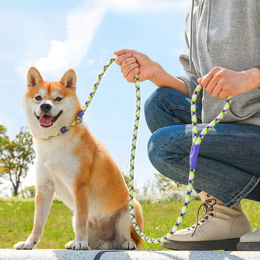 Dog Rope Pet Pulling Rope Puppy Strap