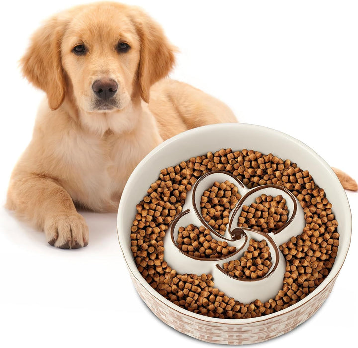 Ceramic Slow Feeder Dog Bowl Slow Feeder