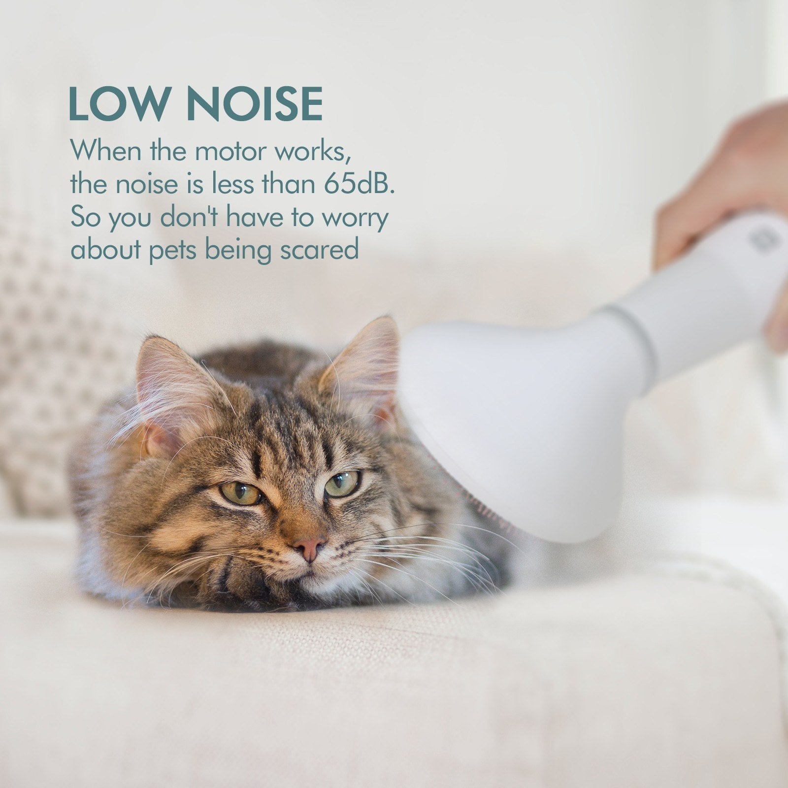 Hair Dryer Grooming Dryer Slicker Brush