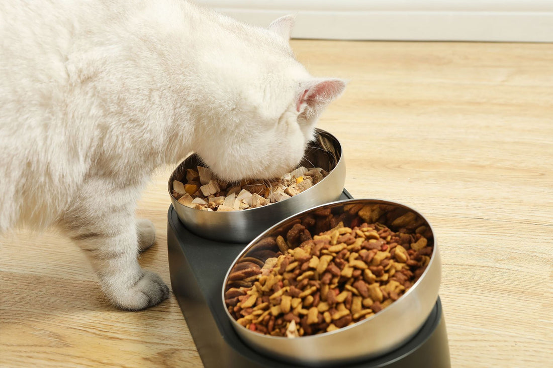 Cat Oblique Mouth Anti-tumble Bowl