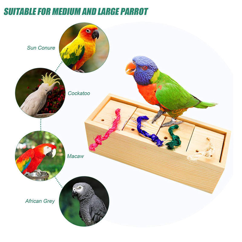 Parrot Toy Bird Supplies Puzzle Training