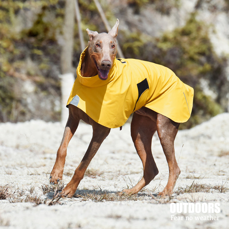 Waterproof Windproof Raincoat