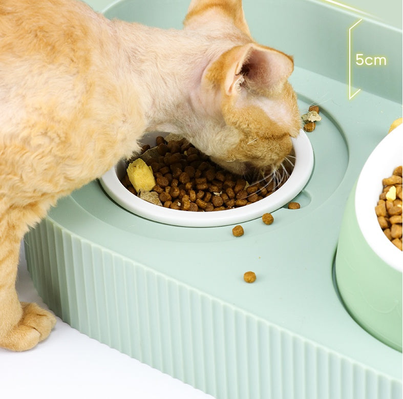 Cervical Spine Food Bowl Food Bowl
