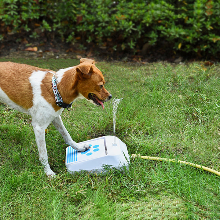 Water Feeder Intellectual Toys
